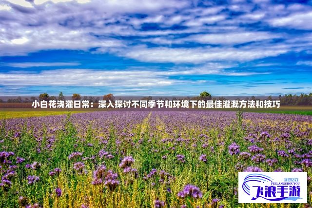 小白花浇灌日常：深入探讨不同季节和环境下的最佳灌溉方法和技巧