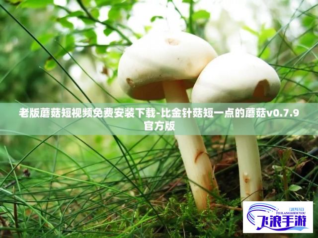 (柚子多肉长啥样) 【家庭种植指南】柚子多肉植物的养殖秘诀：简单步骤，让绿意盎然点缀你的家园