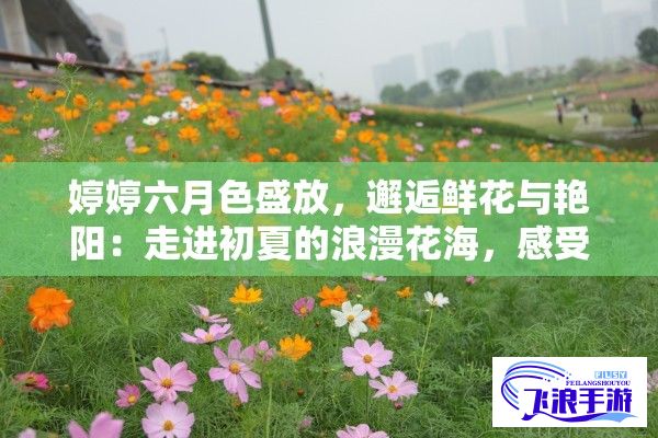 婷婷六月色盛放，邂逅鲜花与艳阳：走进初夏的浪漫花海，感受生命的绚烂多彩。