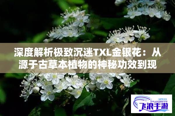 深度解析极致沉迷TXL金银花：从源于古草本植物的神秘功效到现代保健应用中的重要价值