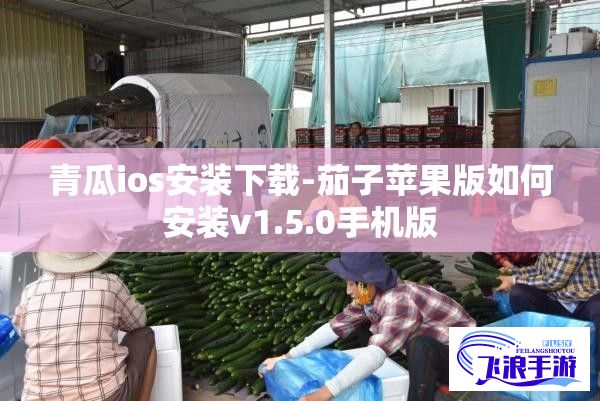 青瓜ios安装下载-茄子苹果版如何安装v1.5.0手机版