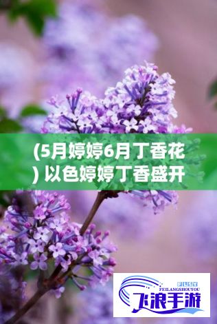 (5月婷婷6月丁香花) 以色婷婷丁香盛开：花语传情，探寻古人对丁香的情感寓意与文化价值