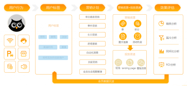 (数字体验中心) 升级您的数字体验：探索9 1免费版的全新功能与优势