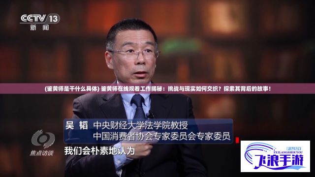 (鉴黄师是干什么具体) 鉴黄师在线观看工作揭秘：挑战与现实如何交织？探索其背后的故事！