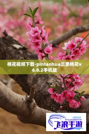 桃花视频下载-pintaohua三里桃花v6.8.2手机版