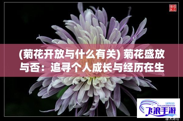 (菊花开放与什么有关) 菊花盛放与否：追寻个人成长与经历在生态保育中的影响