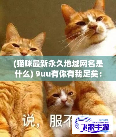 (猫咪最新永久地域网名是什么) 9uu有你有我足矣：最新登录功能升级！体验更便捷的社交互动