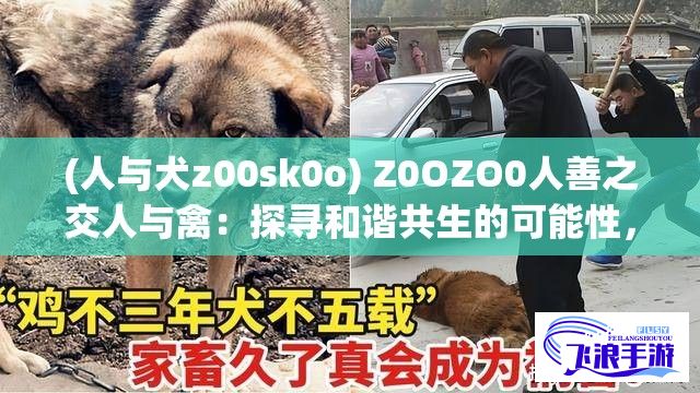 (人与犬z00sk0o) Z0OZO0人善之交人与禽：探寻和谐共生的可能性，深度剖析人类与禽类共存的智慧和解决方案