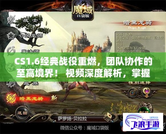 CS1.6经典战役重燃，团队协作的至高境界！ 视频深度解析，掌握无敌策略。