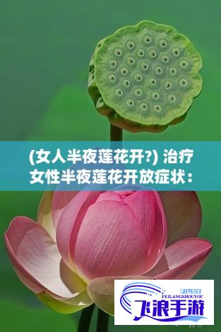 (女人半夜莲花开?) 治疗女性半夜莲花开放症状：结合现代中医方法有效缓解异常生理反应【探究】