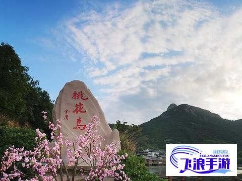 桃花岛视频下载-桃花岛项目怎么回事v6.0.6官方版