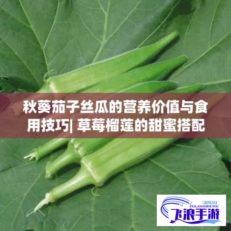 秋葵茄子丝瓜的营养价值与食用技巧| 草莓榴莲的甜蜜搭配与保存秘籍