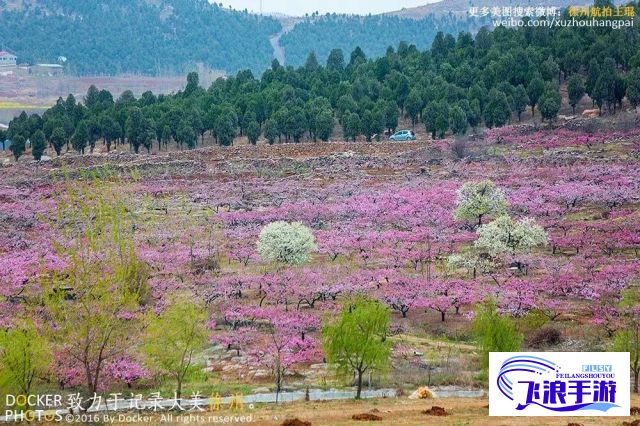 【探秘桃花岛】揭秘东方奇境，赏析金庸笔下的武侠风采—视频深度解读！