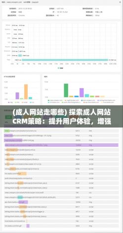 (成人网站走哪些) 探索成人网站CRM策略：提升用户体验，增强客户忠诚度的关键方法